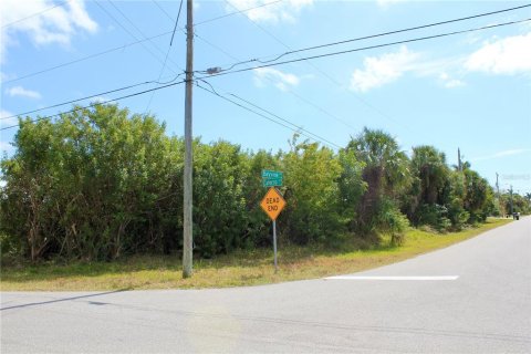 Land in Port Charlotte, Florida № 2101985 - photo 25