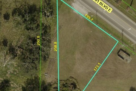 Land in Bradenton, Florida № 1884741 - photo 6