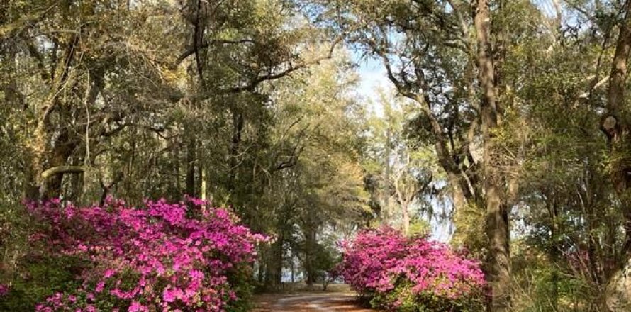 Terreno en Milton, Florida № 558213