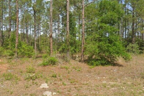 Land in Dunnellon, Florida № 2205928