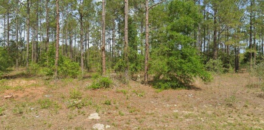 Terreno en Dunnellon, Florida № 2205928