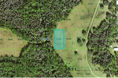 Land in Polk City, Florida № 2235108