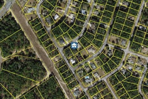 Land in Citrus Springs, Florida № 2159724 - photo 2