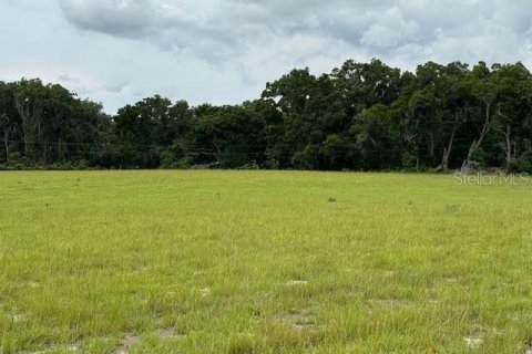 Land in Citra, Florida № 1770068 - photo 1