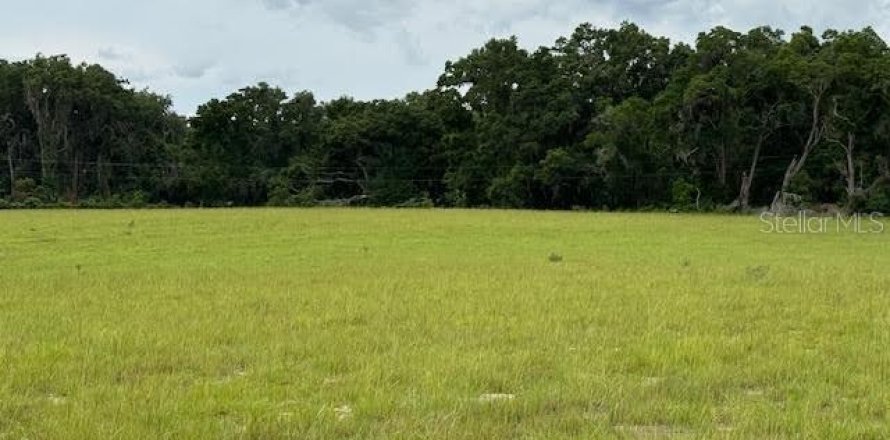 Land in Citra, Florida № 1770068