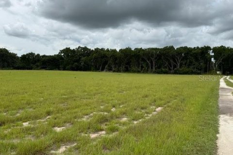 Land in Citra, Florida № 1770068 - photo 3