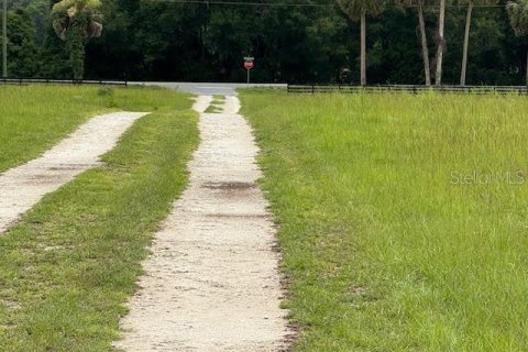Land in Citra, Florida № 1770068 - photo 2