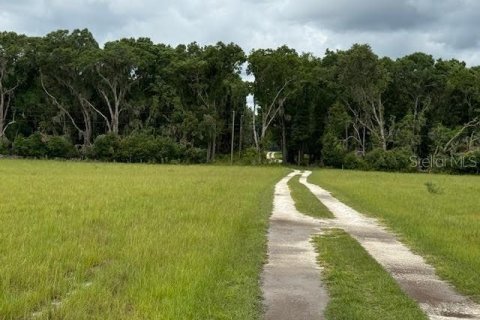 Land in Citra, Florida № 1770068 - photo 4