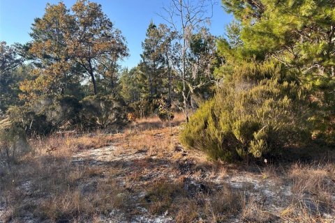 Terreno en Archer, Florida № 2234212
