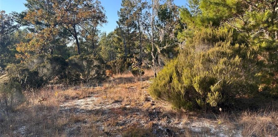 Terreno en Archer, Florida № 2234212