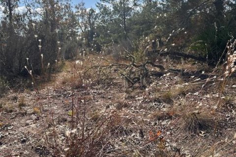 Terreno en venta en Archer, Florida № 2234212 - foto 2