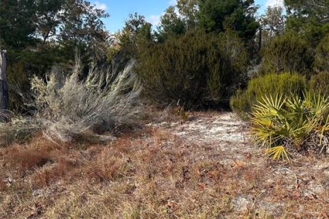 Terreno en venta en Archer, Florida № 2234212 - foto 3