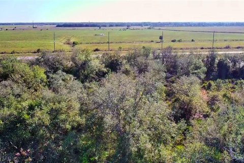 Land in Punta Gorda, Florida № 2161969 - photo 4
