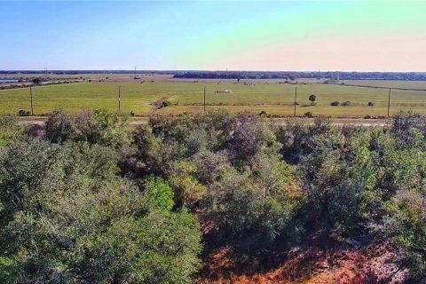 Land in Punta Gorda, Florida № 2161969 - photo 9