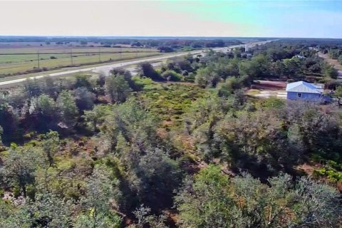 Land in Punta Gorda, Florida № 2161969 - photo 8