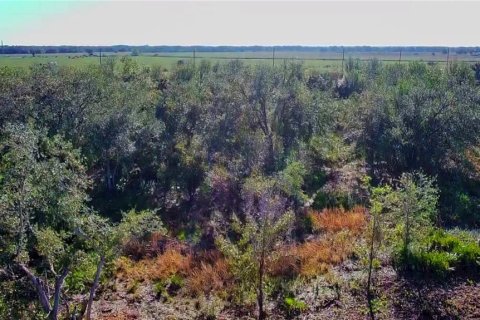 Land in Punta Gorda, Florida № 2161969 - photo 5