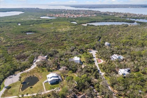 Villa ou maison à vendre à Oldsmar, Floride: 4 chambres, 303.79 m2 № 1574368 - photo 20