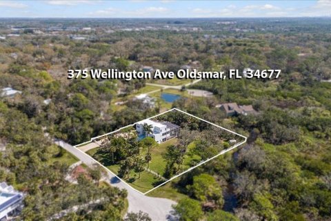 Villa ou maison à vendre à Oldsmar, Floride: 4 chambres, 303.79 m2 № 1574368 - photo 24