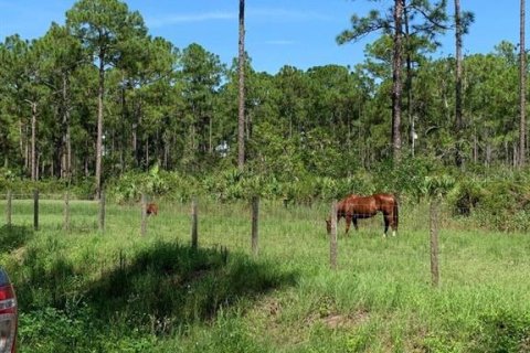 Land in West Palm Beach, Florida № 713374 - photo 5