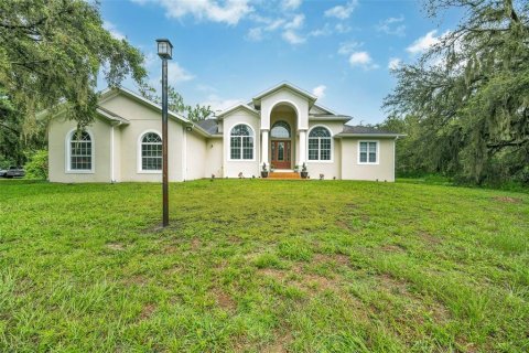 Villa ou maison à vendre à Fish Hawk, Floride: 4 chambres, 279.08 m2 № 1825152 - photo 1
