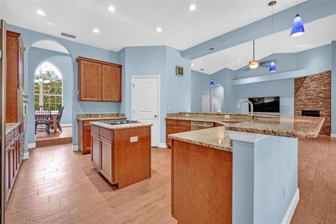 Villa ou maison à vendre à Fish Hawk, Floride: 4 chambres, 279.08 m2 № 1825152 - photo 9