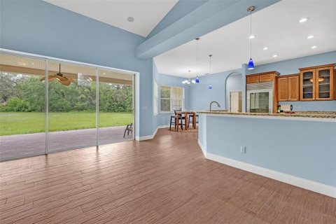Villa ou maison à vendre à Fish Hawk, Floride: 4 chambres, 279.08 m2 № 1825152 - photo 7