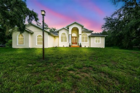 Villa ou maison à vendre à Fish Hawk, Floride: 4 chambres, 279.08 m2 № 1825152 - photo 2