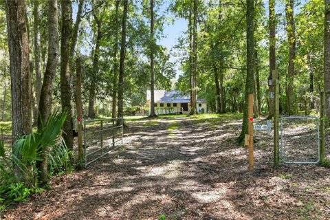 Villa ou maison à vendre à Micanopy, Floride: 3 chambres, 182.65 m2 № 2341819 - photo 3