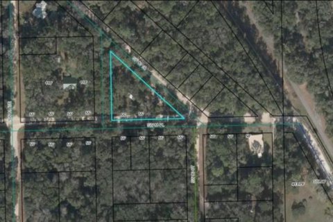 Land in Trenton, Florida № 1347124 - photo 3