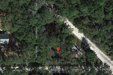 Land in Trenton, Florida № 1347124 - photo 6