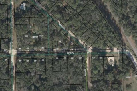 Land in Trenton, Florida № 1347124 - photo 4