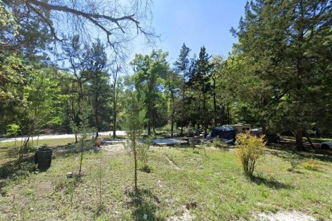 Land in Trenton, Florida № 1347124 - photo 2