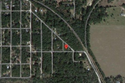 Land in Trenton, Florida № 1347124 - photo 7