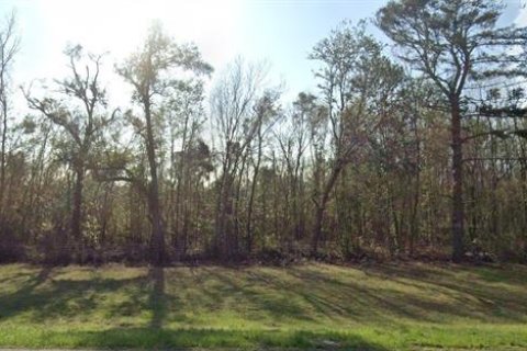 Land in Jennings, Florida № 1773917 - photo 2