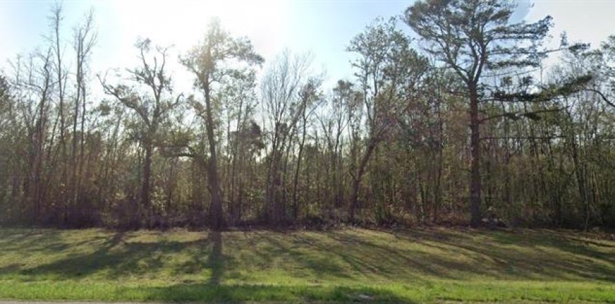 Terreno en Jennings, Florida № 1773917
