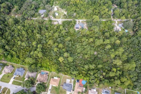 Land in Deltona, Florida № 1301282 - photo 12