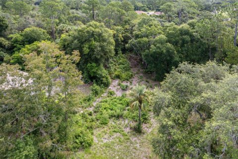 Land in Deltona, Florida № 1301282 - photo 2