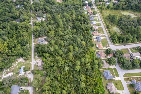 Land in Deltona, Florida № 1301282 - photo 10