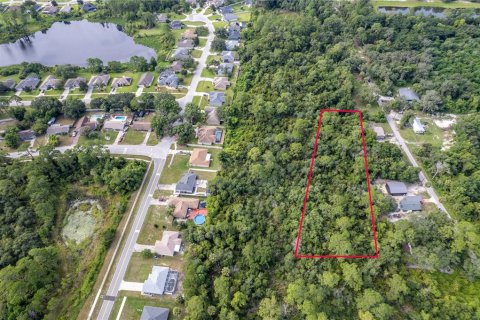 Land in Deltona, Florida № 1301282 - photo 1
