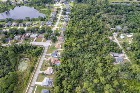 Land in Deltona, Florida № 1301282 - photo 13