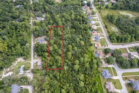 Land in Deltona, Florida № 1301282 - photo 9