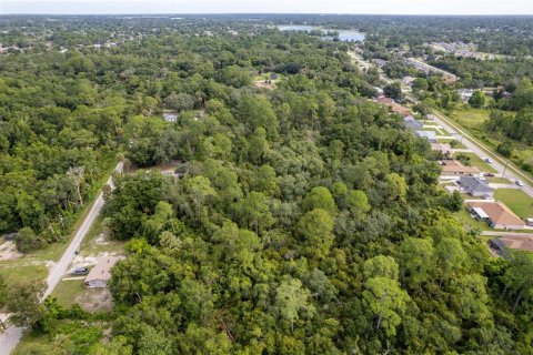 Land in Deltona, Florida № 1301282 - photo 3