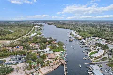 Купить виллу или дом в Хомосасса, Флорида 3 комнаты, 133.04м2, № 2094404 - фото 3