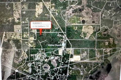 Land in Melrose, Florida № 2103982 - photo 17