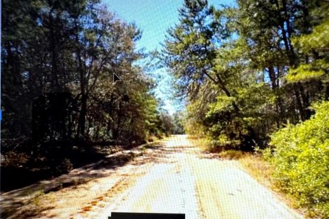 Land in Melrose, Florida № 2103982 - photo 7