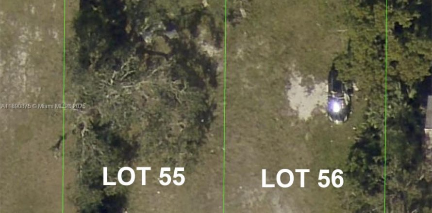 Commercial property in Bradenton, Florida № 2017687