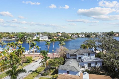 House in Saint Petersburg, Florida 2 bedrooms, 164.81 sq.m. № 1733427 - photo 3