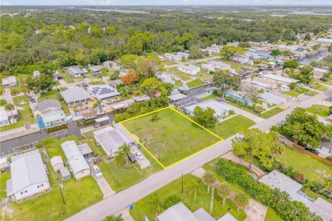 Land in Edgewater, Florida № 2135963 - photo 16