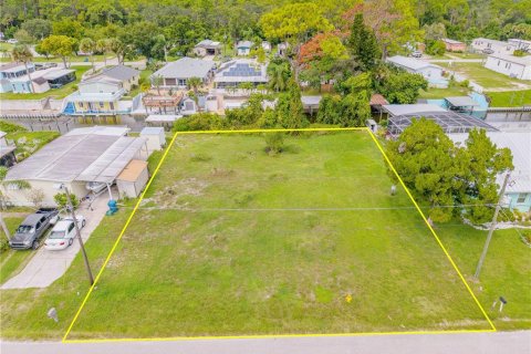 Land in Edgewater, Florida № 2135963 - photo 3