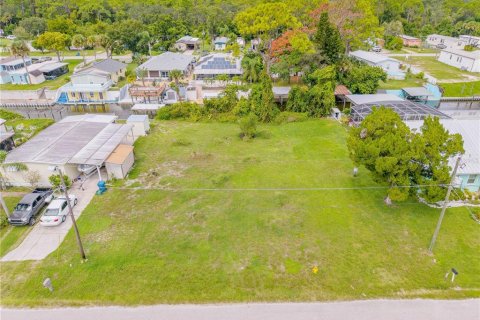 Land in Edgewater, Florida № 2135963 - photo 10